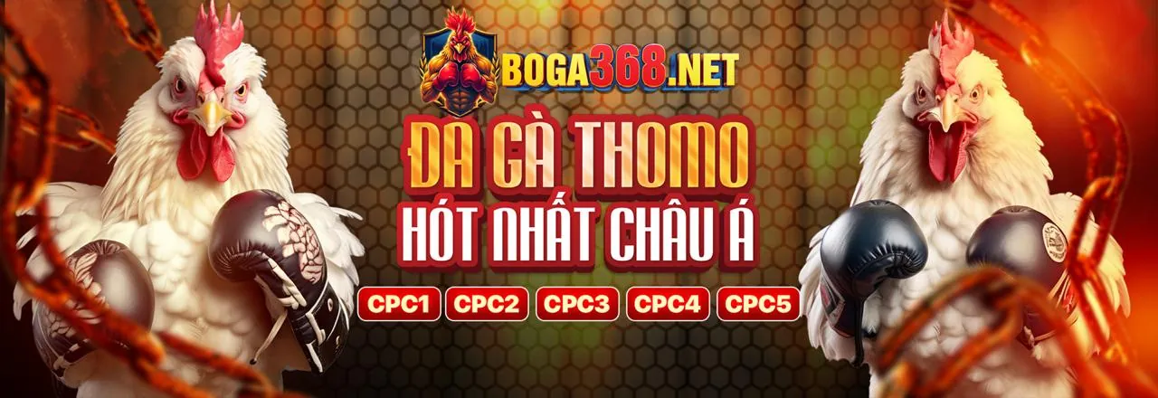 Hoàn trả cược đá gà hàng ngày winmax1 khuyến mãi